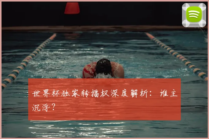 世界杯独家转播权深度解析：谁主沉浮？