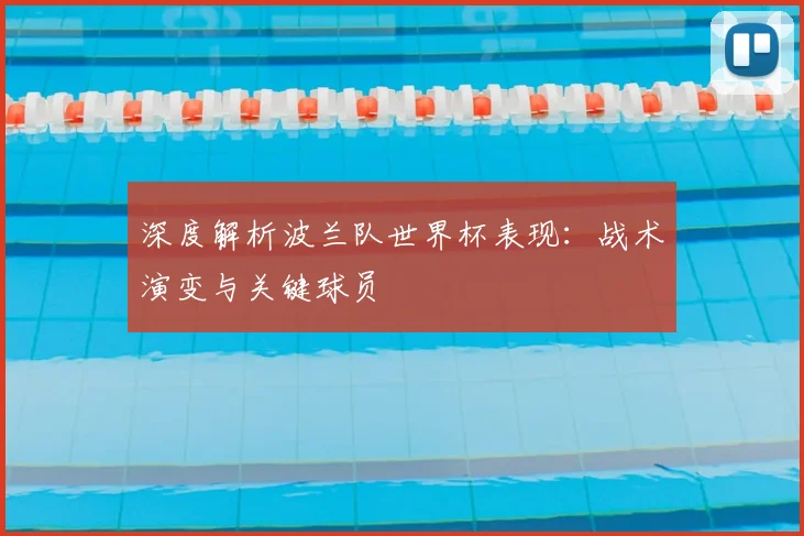 深度解析波兰队世界杯表现：战术演变与关键球员