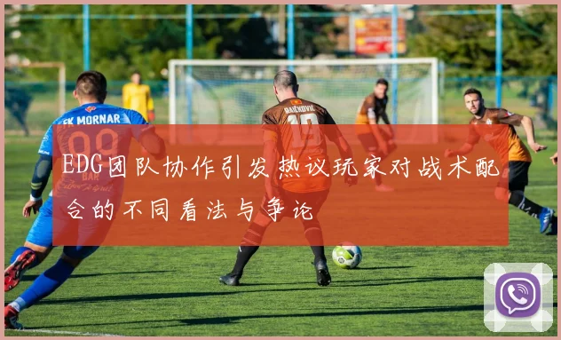 EDG团队协作引发热议玩家对战术配合的不同看法与争论