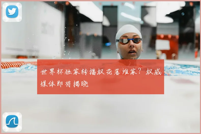 世界杯独家转播权花落谁家？权威媒体即将揭晓
