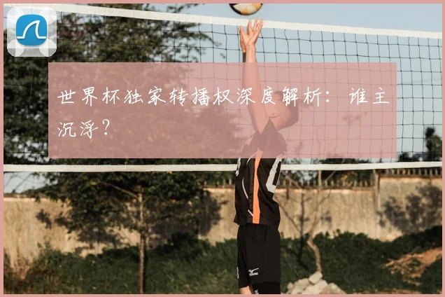 世界杯独家转播权深度解析：谁主沉浮？