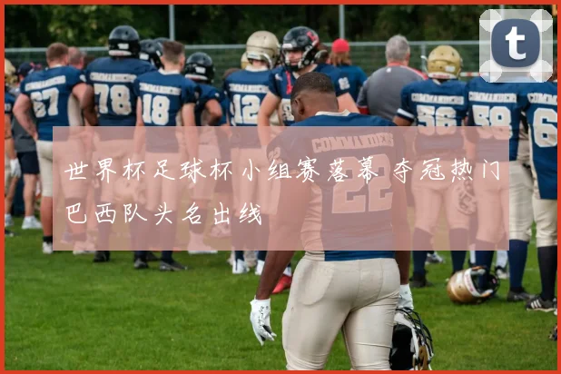 世界杯足球杯小组赛落幕 夺冠热门巴西队头名出线