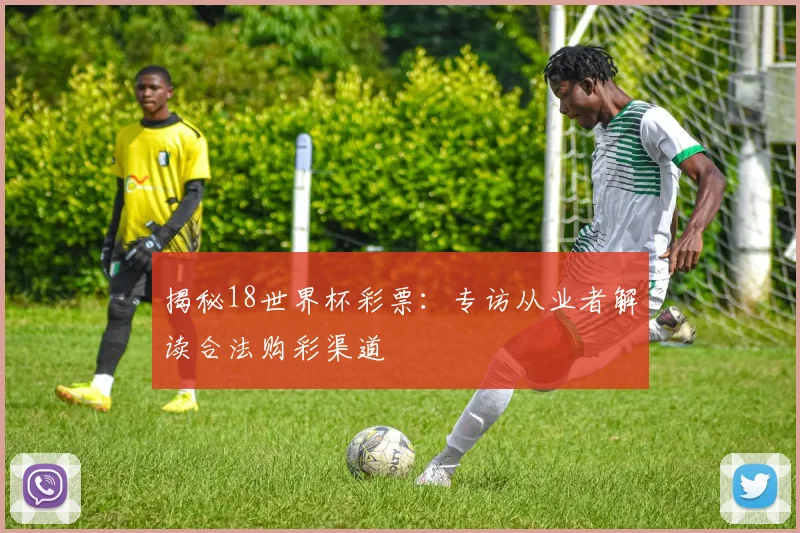 揭秘18世界杯彩票：专访从业者解读合法购彩渠道