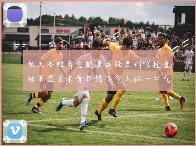 帕夫洛维奇左腿遭高强度创伤检查结果显示未骨折情况令人松一口气