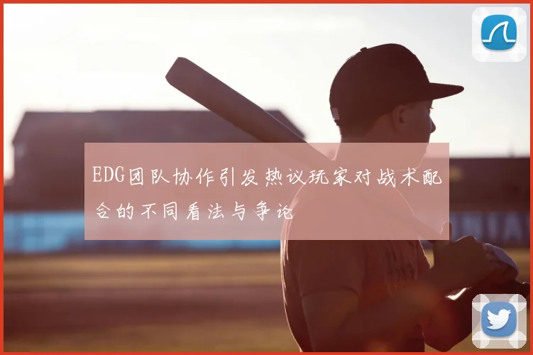 EDG团队协作引发热议玩家对战术配合的不同看法与争论