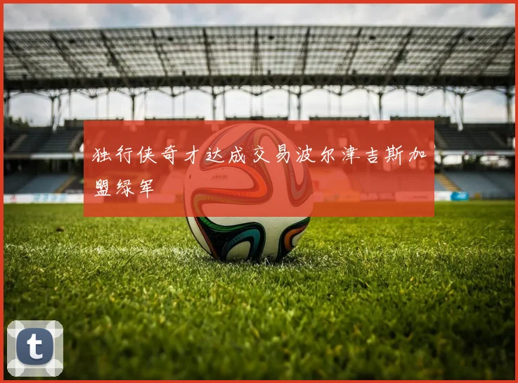 独行侠奇才达成交易波尔津吉斯加盟绿军