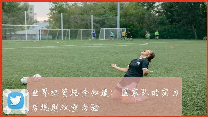 世界杯资格全知道：国家队的实力与规则双重考验
