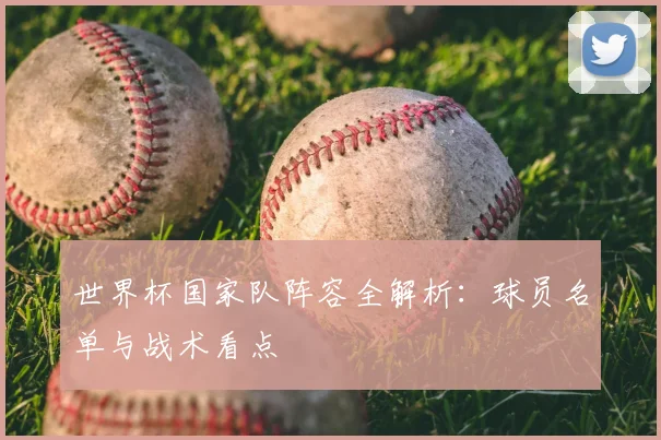 世界杯国家队阵容全解析：球员名单与战术看点
