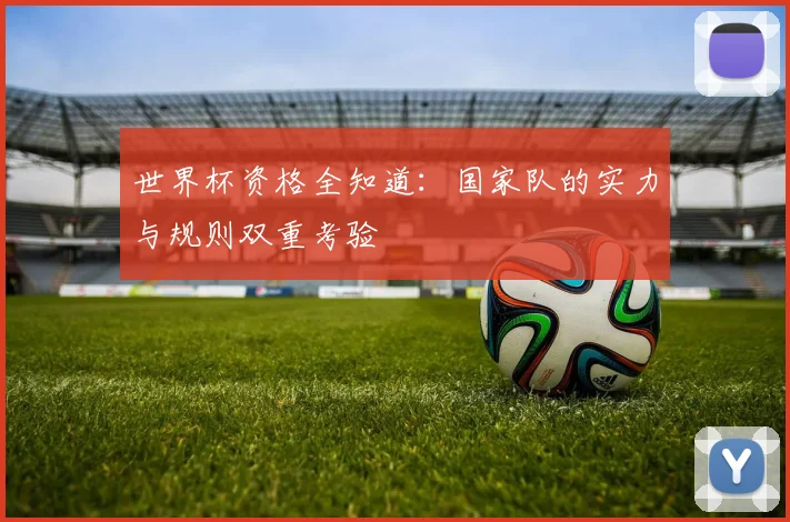 世界杯资格全知道：国家队的实力与规则双重考验