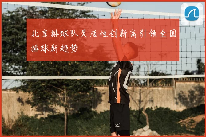 北京排球队灵活性创新高引领全国排球新趋势
