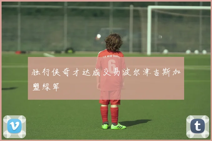 独行侠奇才达成交易波尔津吉斯加盟绿军