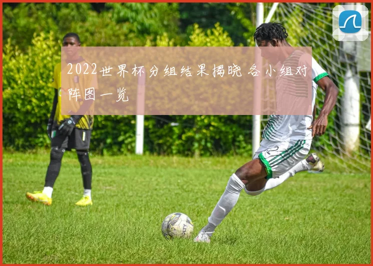 2022世界杯分组结果揭晓 各小组对阵图一览